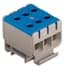 Toon details voor Verdeelblok 1F 6x2,5-50mm2 160A blauw Afbeelding van Verdeelblok 1F 6x2,5-50mm2 160A blauw