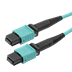 Toon details voor patchcord MultiMode MPO8 fem>fem  5m OM3 B2ca-s1ad1a1 EasyFiber Aqua Afbeelding van patchcord MultiMode MPO8 fem>fem  5m OM3 B2ca-s1ad1a1 EasyFiber Aqua