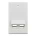 Toon details voor wandplaat US 1-gang 2x keystone schuin wit Simpy45 Afbeelding van wandplaat US 1-gang 2x keystone schuin wit Simpy45
